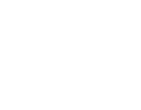 Havas-New-York